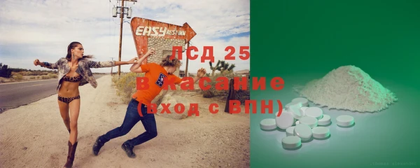 ПСИЛОЦИБИНОВЫЕ ГРИБЫ Арсеньев