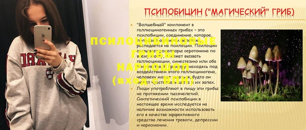 ПСИЛОЦИБИНОВЫЕ ГРИБЫ Арсеньев