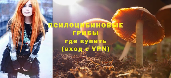 герыч Алексин